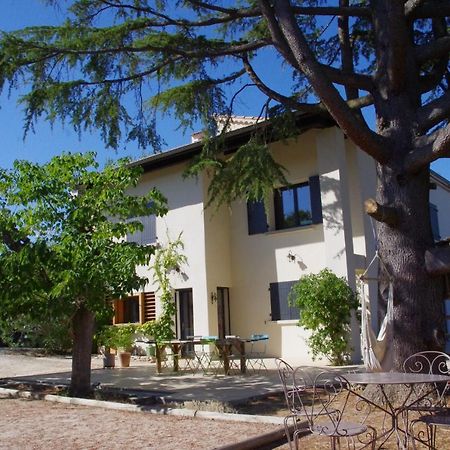 Le Grand Cedre - 2 Chambres D'Hotes - Sud Ardeche Bourg-Saint-Andéol Eksteriør bilde