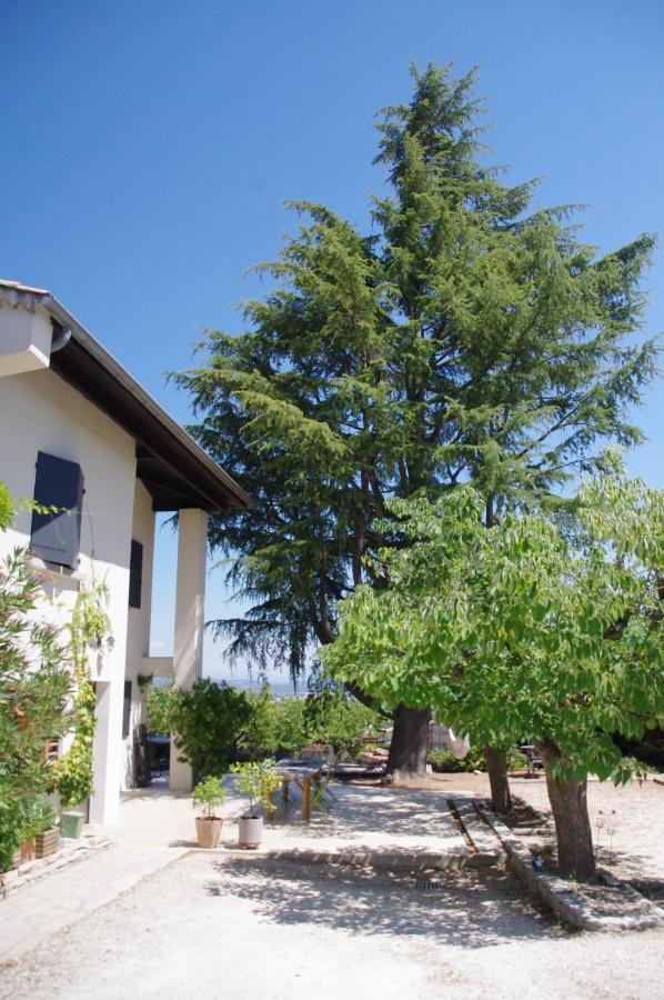 Le Grand Cedre - 2 Chambres D'Hotes - Sud Ardeche Bourg-Saint-Andéol Eksteriør bilde